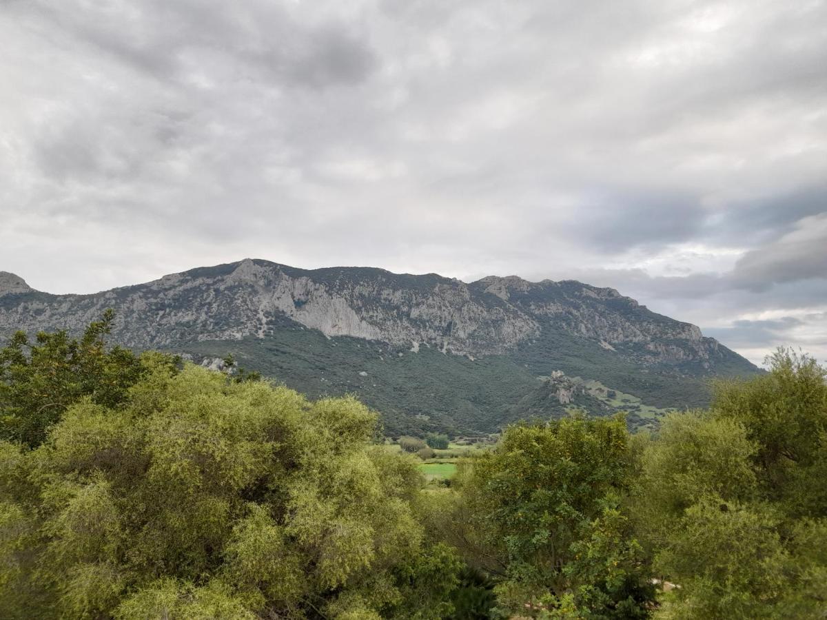 Agriturismo Palas De Serra Country Resort Onifai 外观 照片