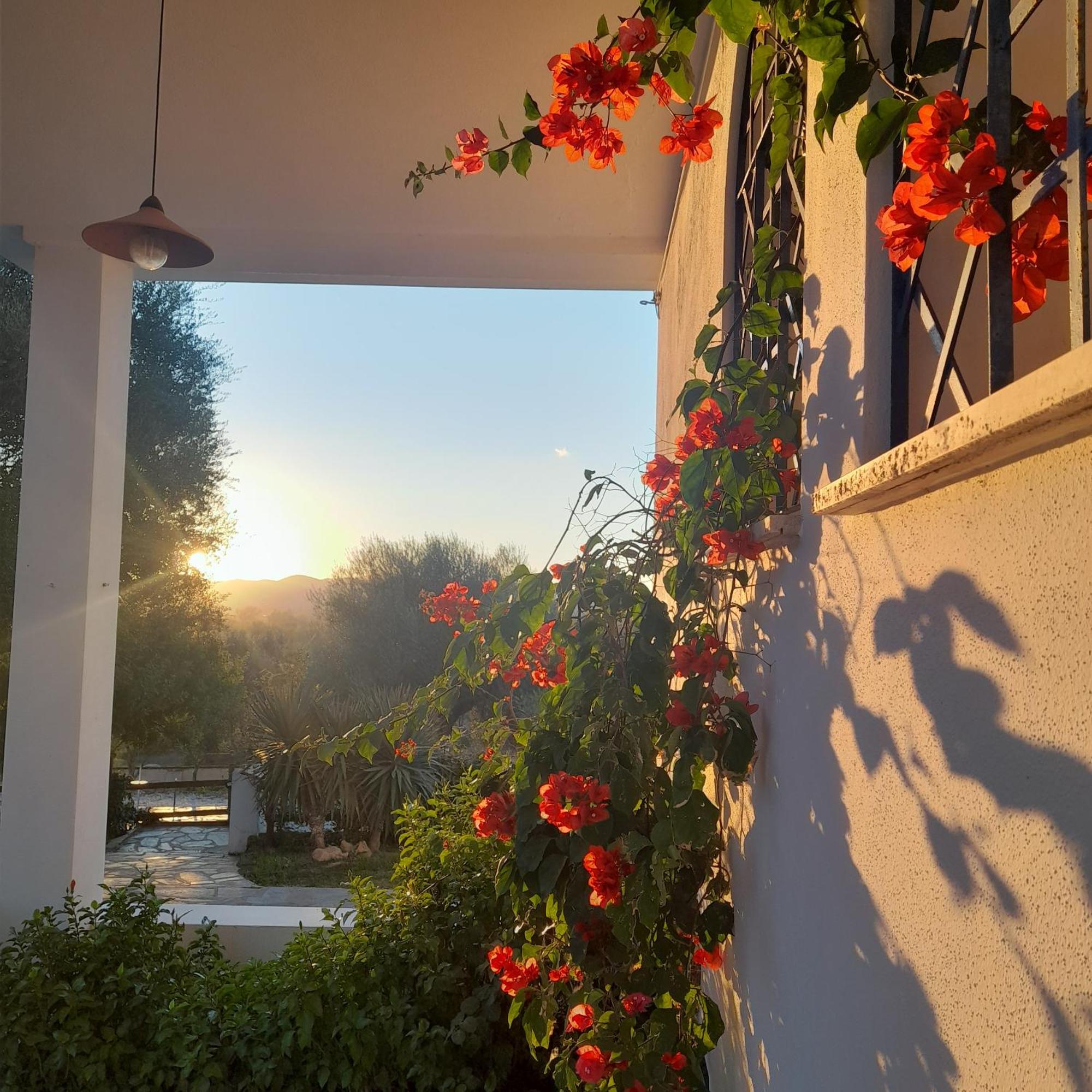Agriturismo Palas De Serra Country Resort Onifai 外观 照片