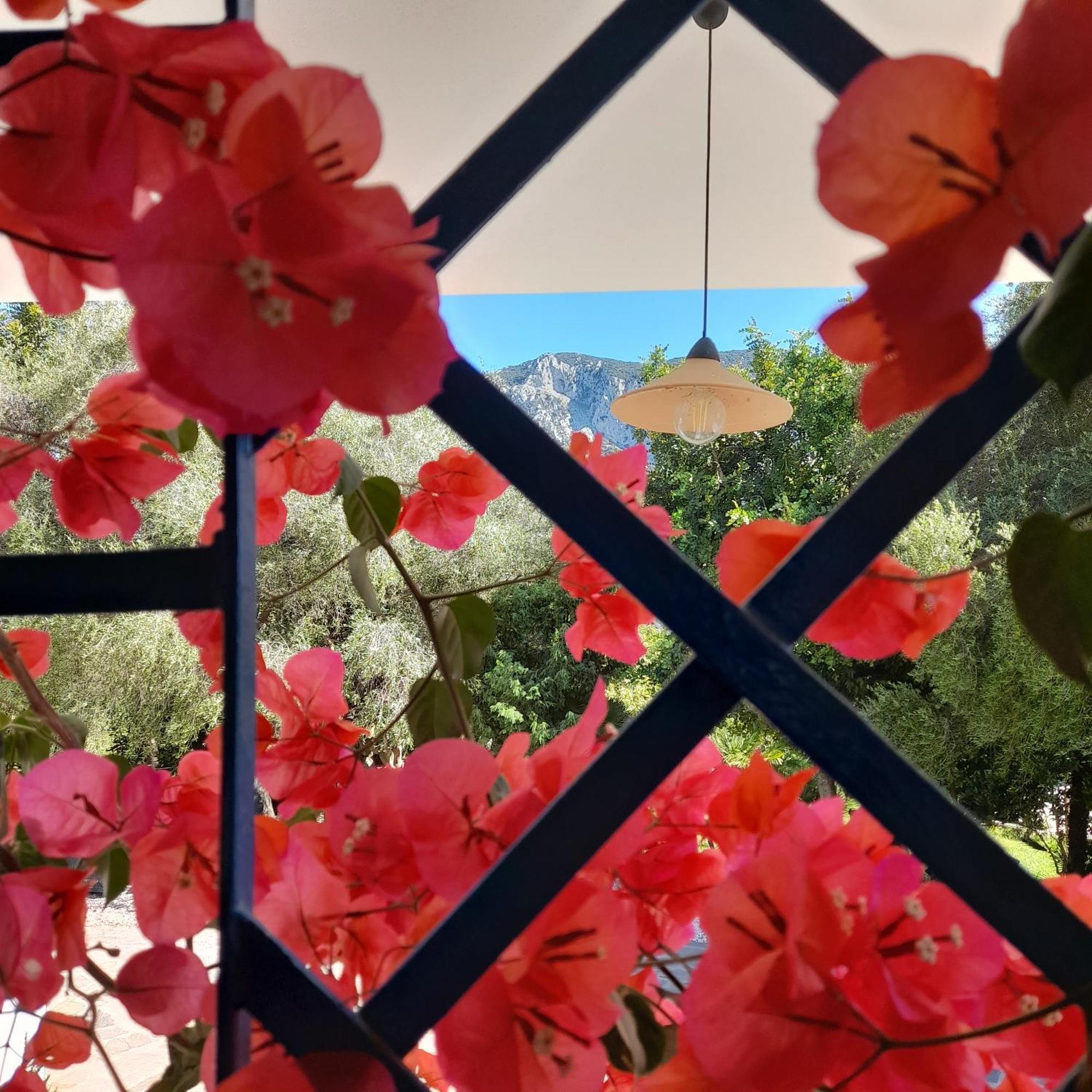 Agriturismo Palas De Serra Country Resort Onifai 外观 照片